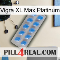 Vigra Xl Max Platinum 22